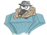 定结县取证公司解说第三者承担离婚赔偿责任吗